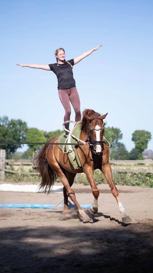 6819576821505252535117 0 cc7d99148548093b0c047609e85e4f87