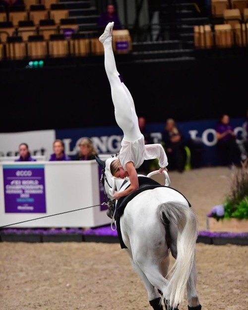 299680985 1582688922133644 9137376385831578731 n