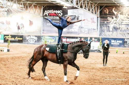 42807531 1792936004156856 5905703442072482085 n