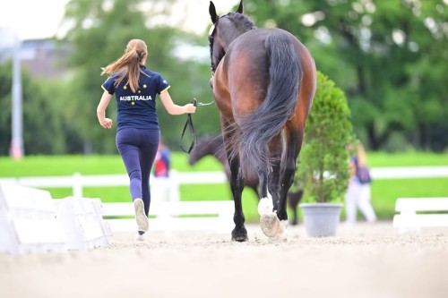 455020294 1599711777264907 677276108121880430 n