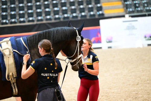 455152636 1739199140225152 523638765321126897 n