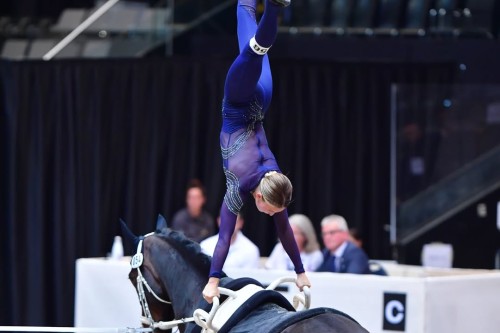 456491744 427139549759326 535590864610604723 n