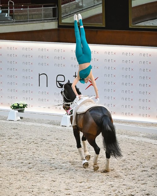 495557732 17905955355152231 3786004158237395978 n