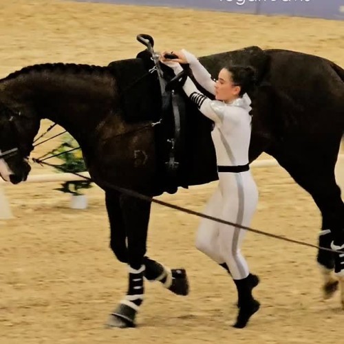 6745334066451844731444 0 36772b0c419ea6dec569c7fe5dbd242b