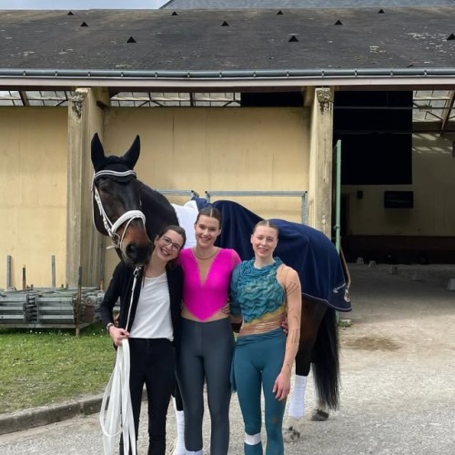 6865556267494748135850 0 5e4095eeef6a9707108284c3ce2c2947