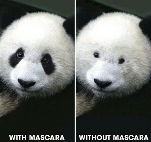 M8qVlEx