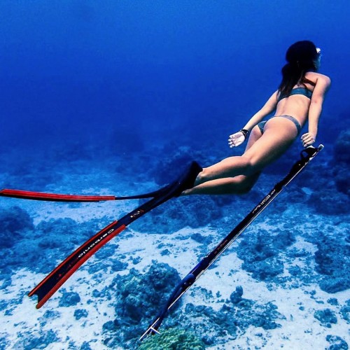 SUR DIVE fisherwomen133@bluemagicsds OPENおめでとうございます@hico0624