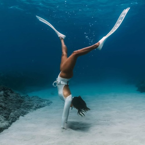 SUR DIVE447 @ saltybabe 