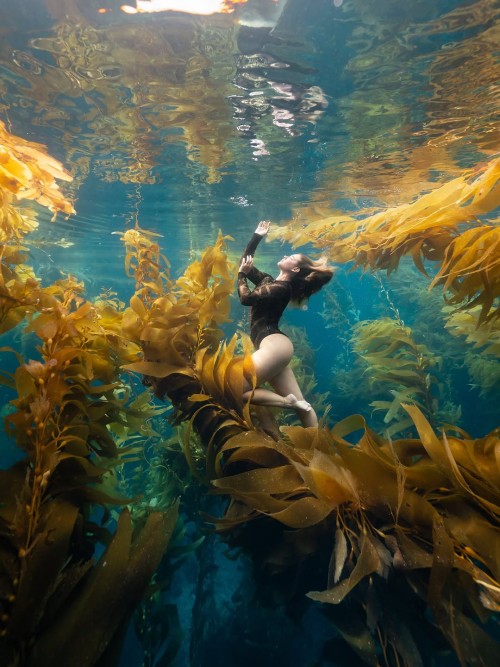 SUR DIVE447@brandee anthony 🧜 ♀️