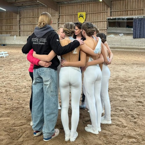 EQUINE VOLTIS71 @voltigierendkblohe