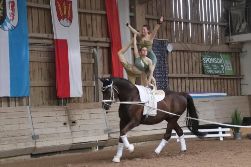 EQUINE VOLTIS71.