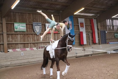 EQUINE VOLTIS71Franconian Championship Doubles @voltigierendkblohe
