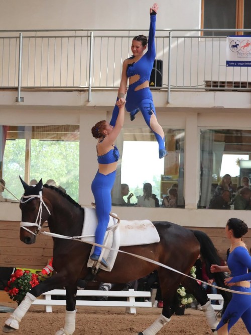 EQUINE VOLTIS71Franconian Championship Lohe 1✨