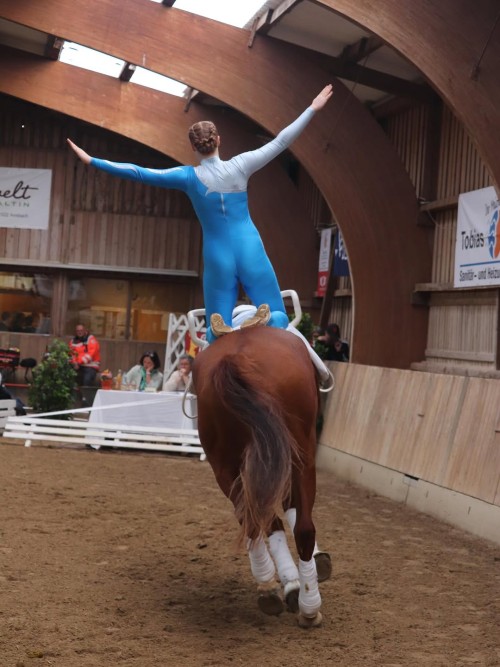 EQUINE VOLTIS71a
