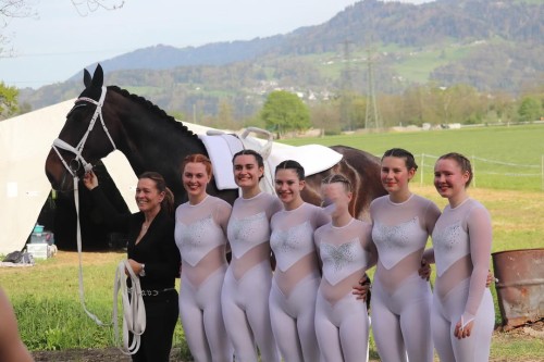 EQUINE VOLTIS71b