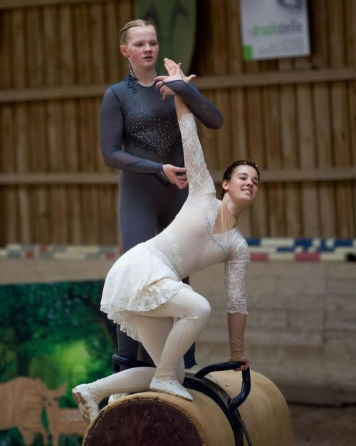 EQUINE VOLTIS71c