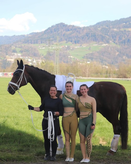 EQUINE VOLTIS71with a view in Dornbirn