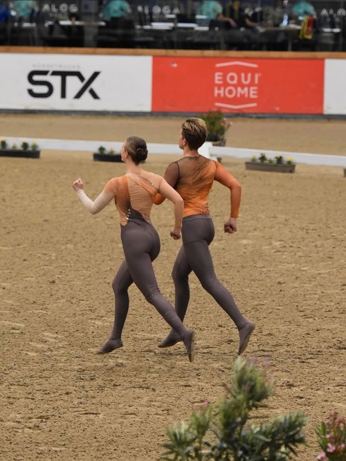 EQUINE VOLTIS72.