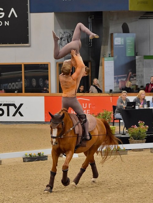 EQUINE VOLTIS72